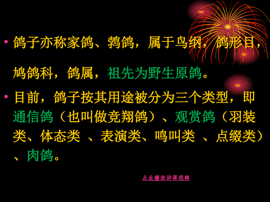 肉鸽的种类及养殖技术_第2页