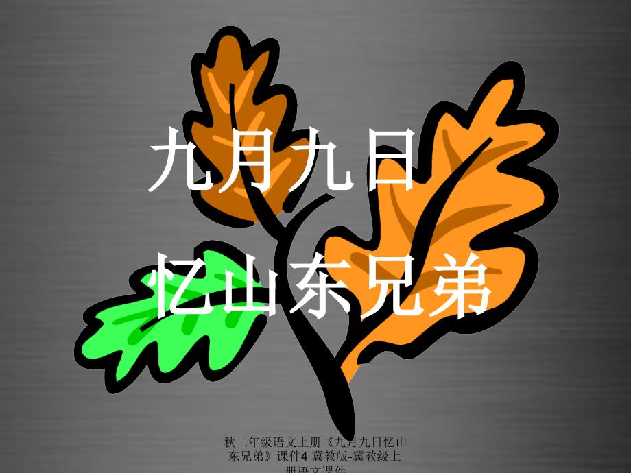 最新二年级语文上册九月九日忆山东兄弟课件4_第1页