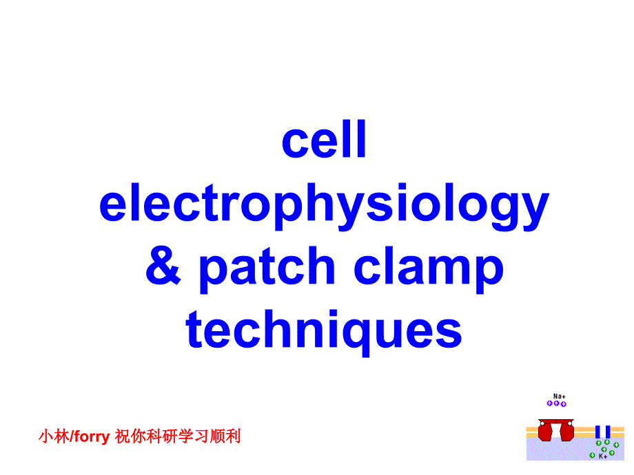 细胞电生理学与膜片钳技术1_第1页