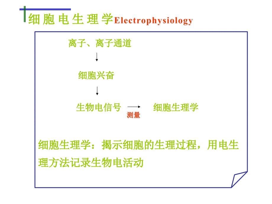 细胞电生理学与膜片钳技术1_第5页