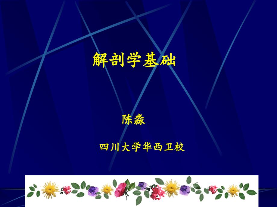 解剖学基本组织.PPT_第1页