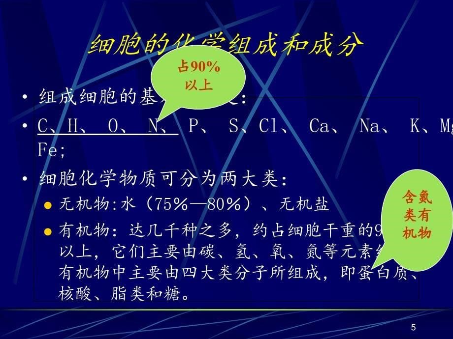 解剖学基本组织.PPT_第5页