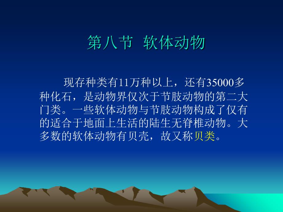 软体动物PPT课件_第1页