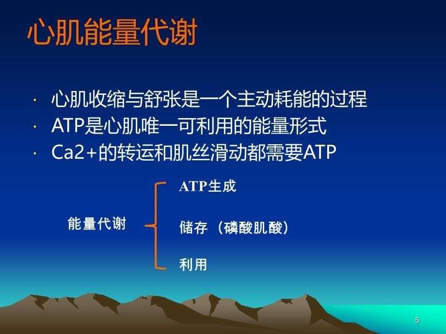 心脏能量代谢和治疗PPT课件.ppt_第5页