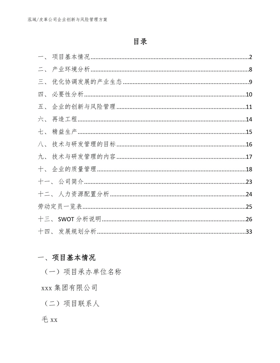 皮革公司企业创新与风险管理方案_第2页