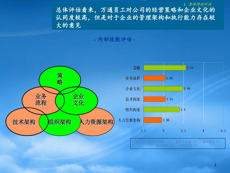 精选某企业发展战略项目内部评估报告_第3页