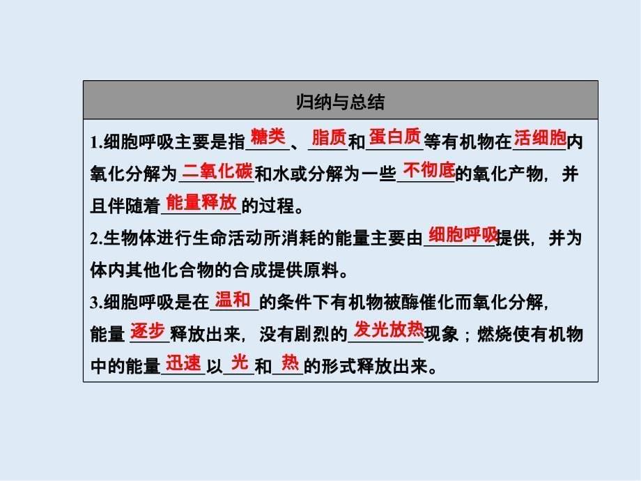 高一生物苏教版必修1课件：4.3.1细胞呼吸产生的能量和过程_第5页