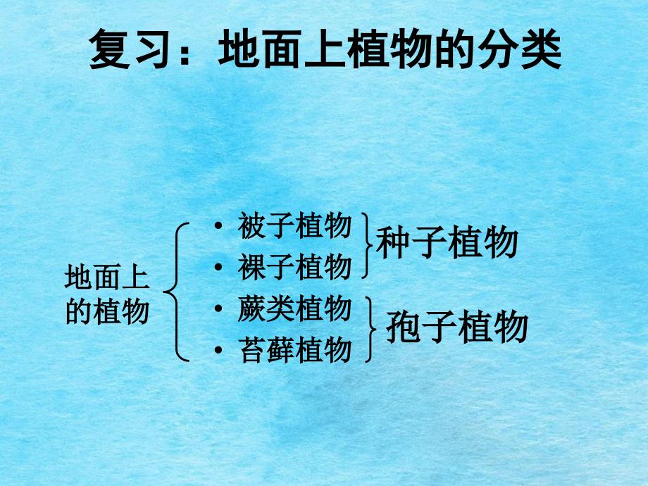 地面上的动物ppt课件_第1页