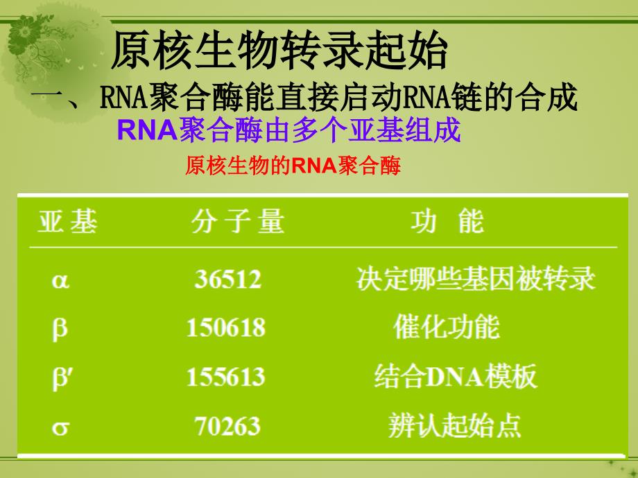 原核生物与真核生物转录起始调控的差异_第2页