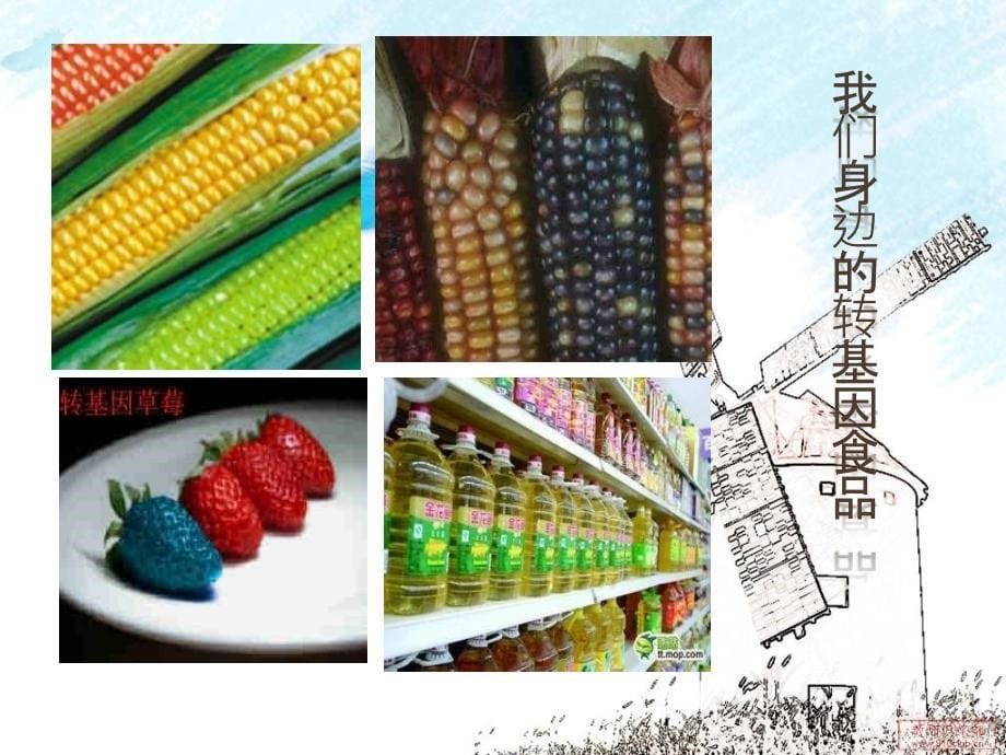 食品质量安全PPT课件_第5页