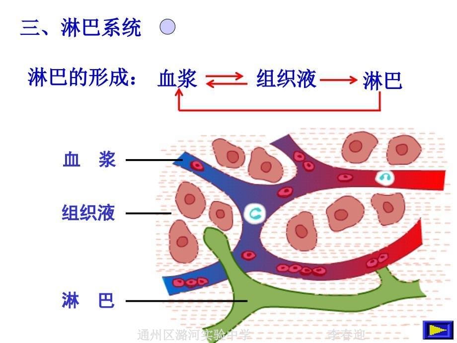 血液与心血管疾病、淋巴系统_第5页