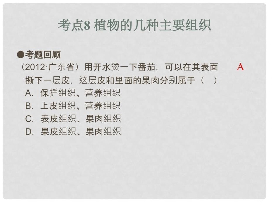 广东省中考生物 第1章 考点8 植物的几种主要组织复习课件_第5页