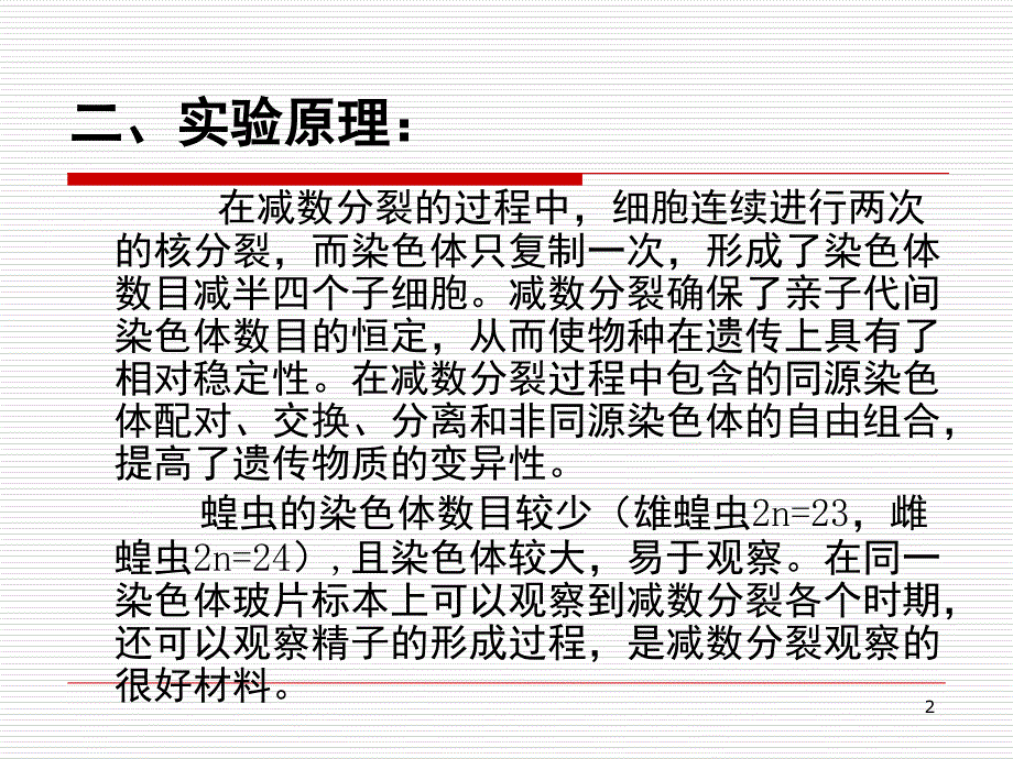 实验.蝗虫的减数分裂课堂PPT_第2页