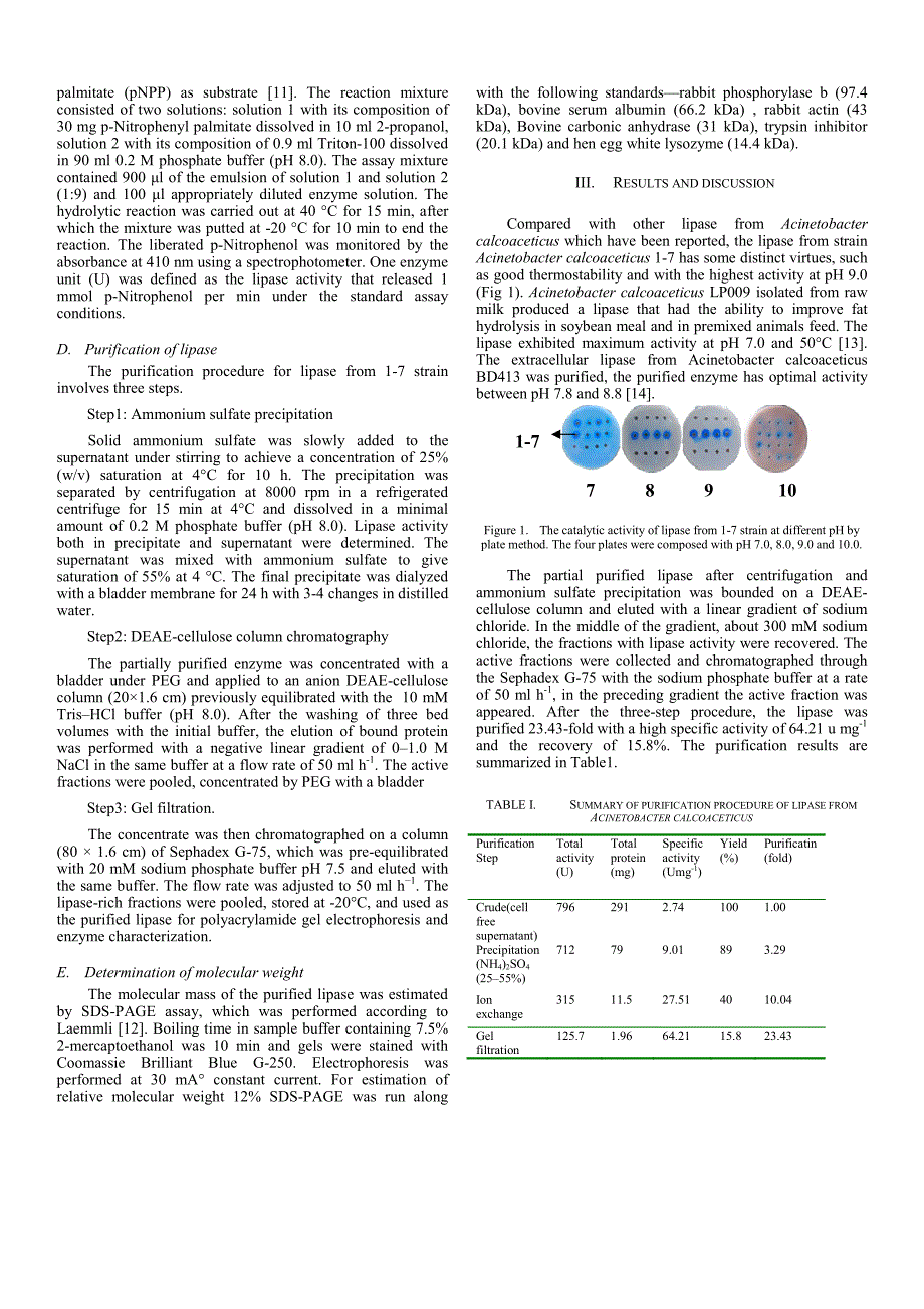 外文翻译--The purification of alkaline and thermostable lipase from a newly isolated strain Acinetobacter calcoaceticus 1-7_第2页