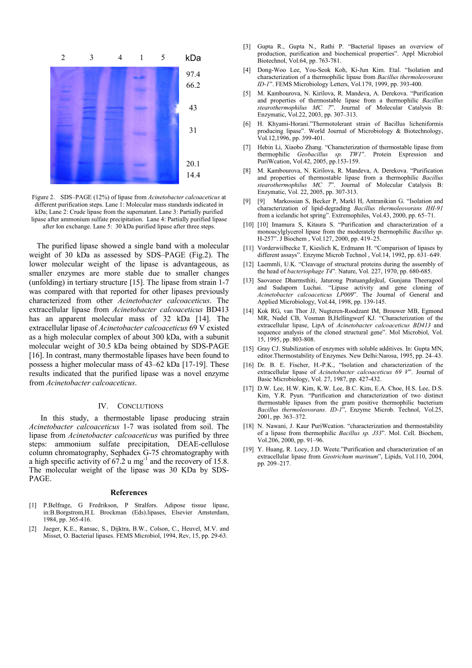 外文翻译--The purification of alkaline and thermostable lipase from a newly isolated strain Acinetobacter calcoaceticus 1-7_第3页