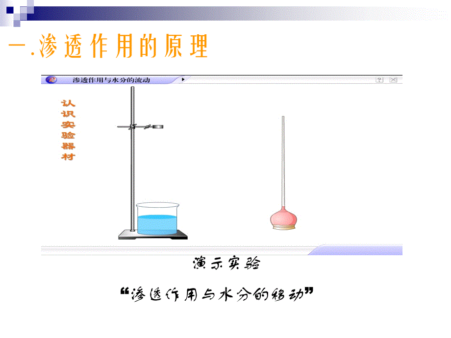 物质进出细胞的方式精选文档_第3页