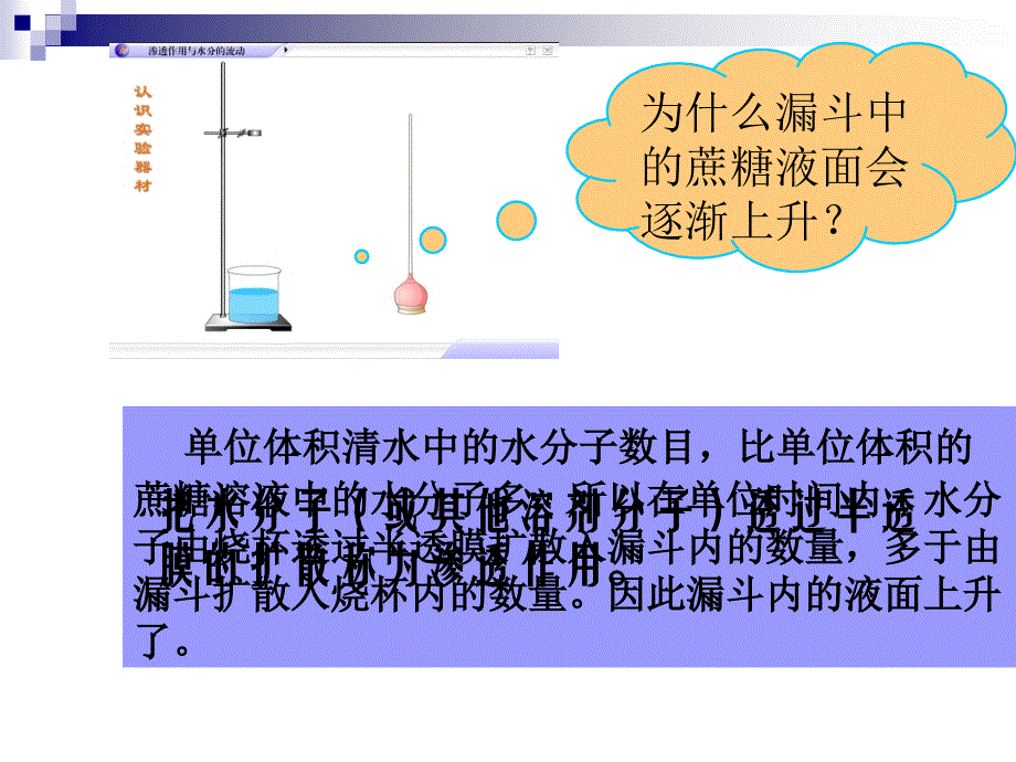 物质进出细胞的方式精选文档_第4页