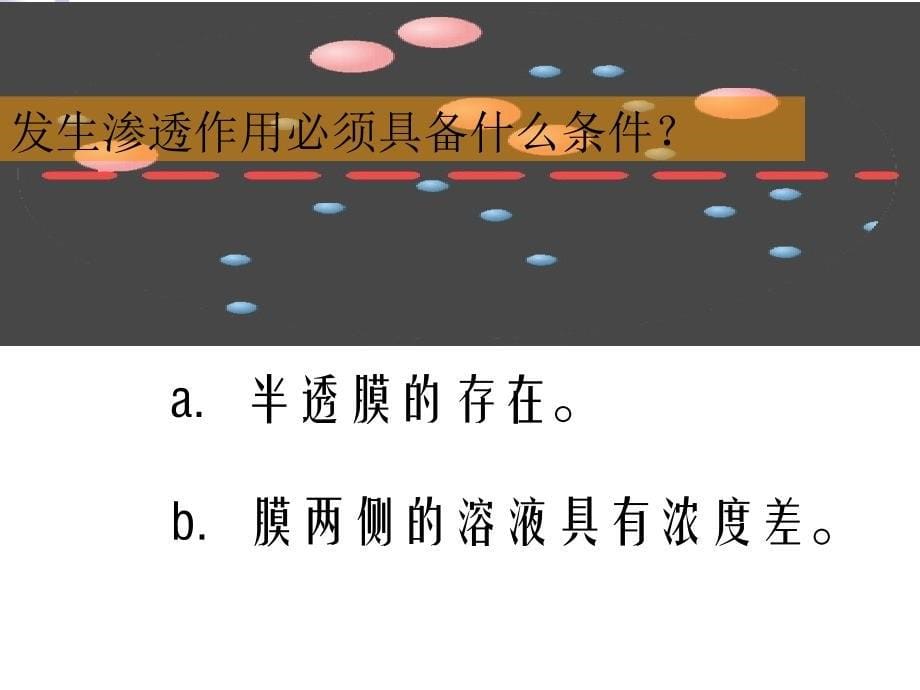 物质进出细胞的方式精选文档_第5页