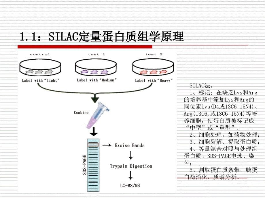 SIALC研究蛋白质相互作用原理_第5页