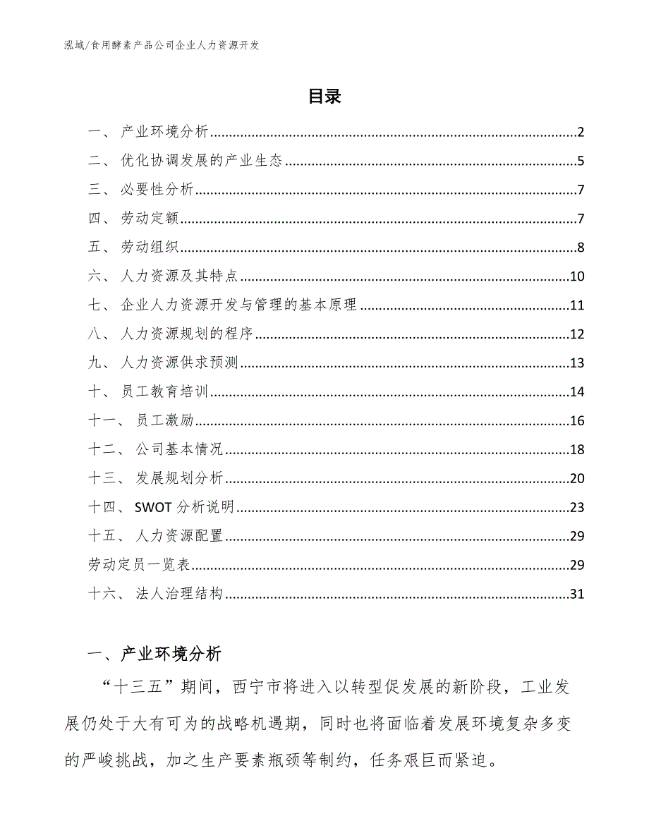 食用酵素产品公司企业人力资源开发【范文】_第2页