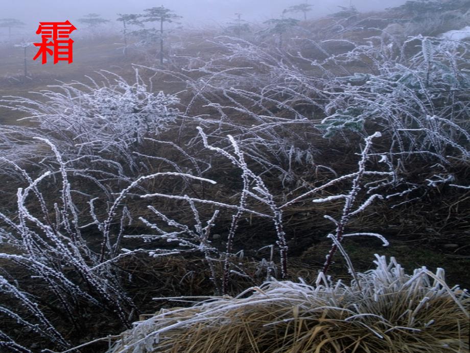 《识字三》课件 (2)_第2页