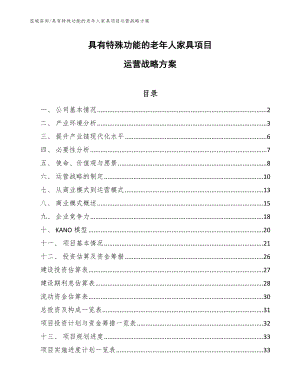 具有特殊功能的老年人家具项目运营战略方案（参考）