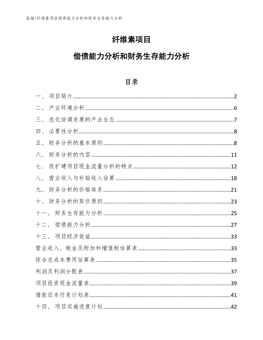 纤维素项目偿债能力分析和财务生存能力分析_第1页