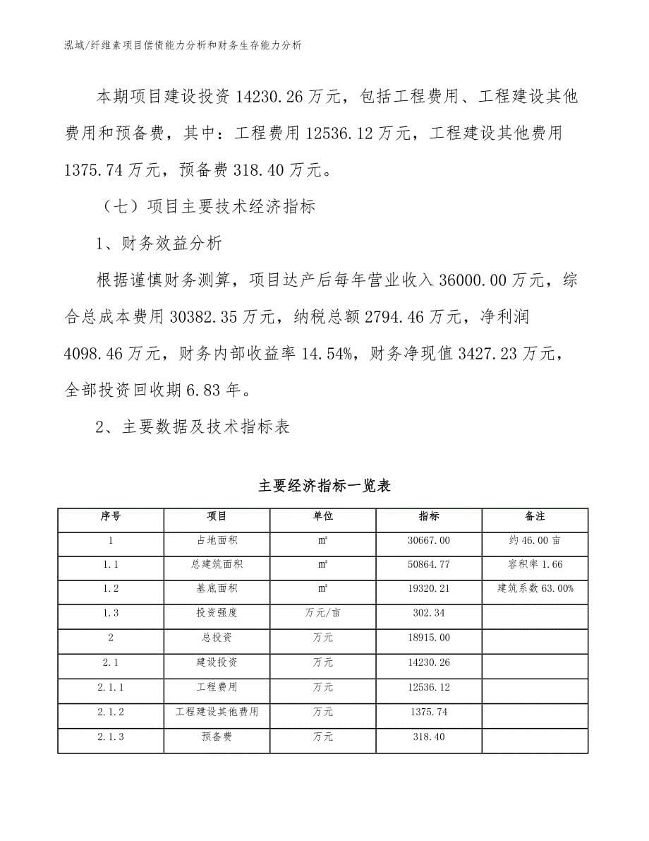 纤维素项目偿债能力分析和财务生存能力分析_第5页