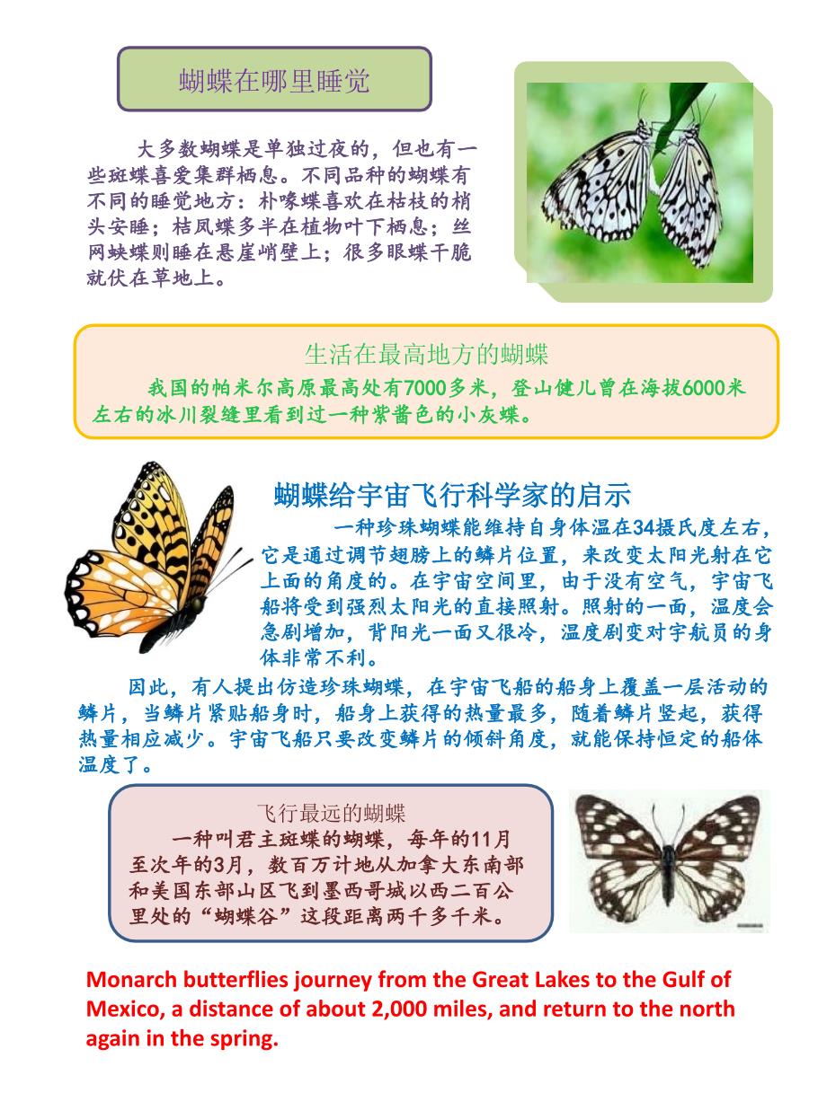 小学生英语阅读蝴蝶的介绍Butterflyreading_第2页