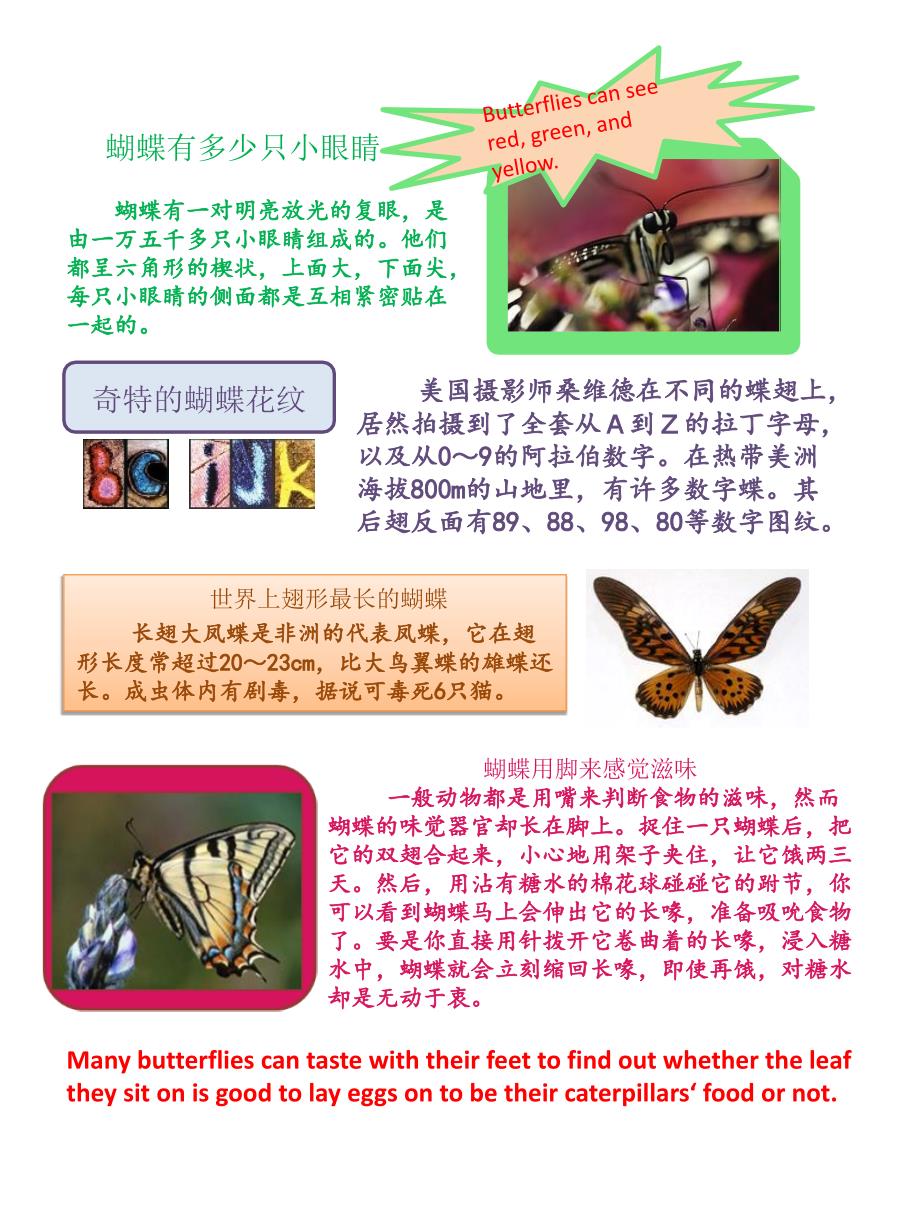 小学生英语阅读蝴蝶的介绍Butterflyreading_第3页