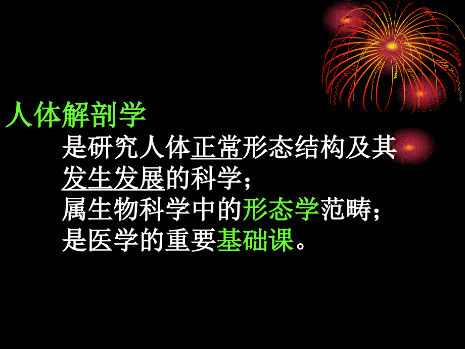 解剖学课件：解剖学绪论和骨关节概述_第3页