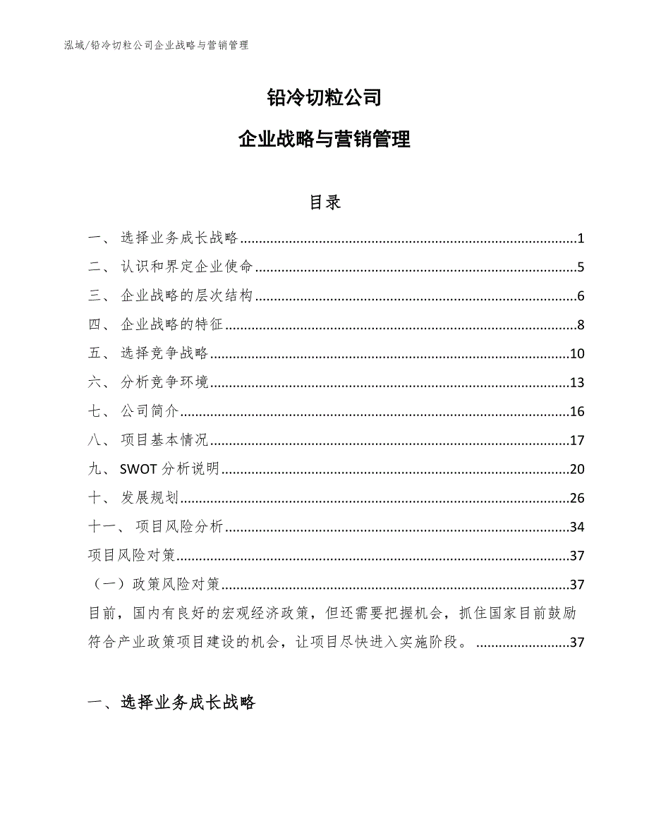 铅冷切粒公司企业战略与营销管理_第1页