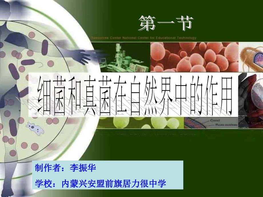 《细菌和真菌在自然界中的作用》课件_第1页