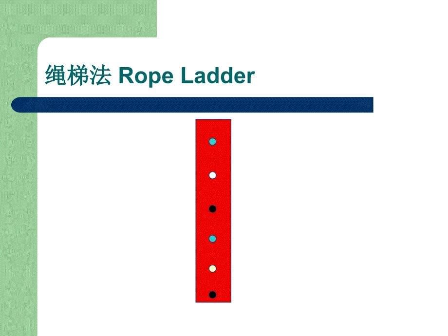 动静脉内瘘穿刺术---扣眼穿刺课件_第5页