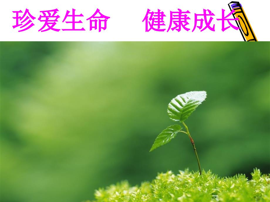 安全教育班会珍爱生命健康成长.ppt_第1页