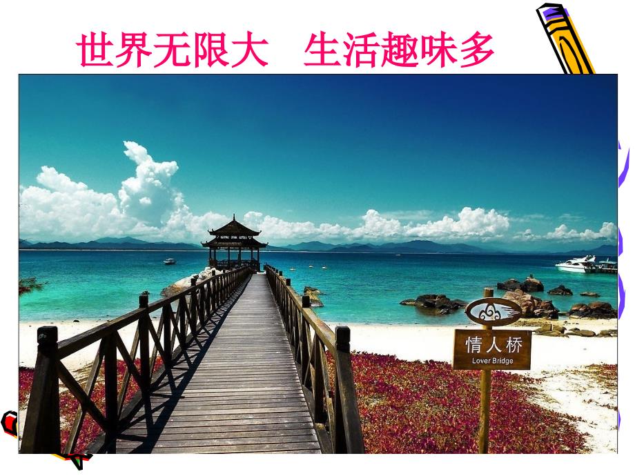 安全教育班会珍爱生命健康成长.ppt_第3页