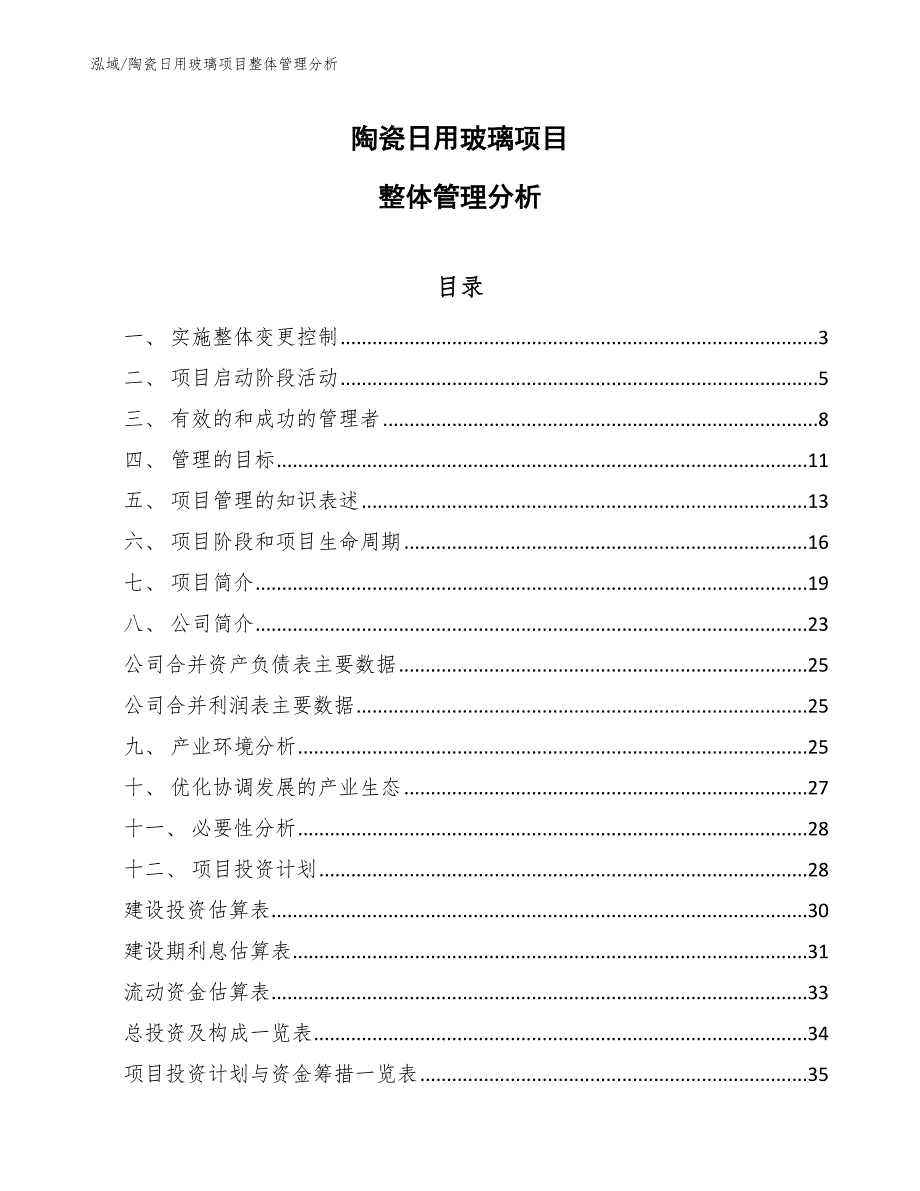 陶瓷日用玻璃项目整体管理分析（范文）_第1页