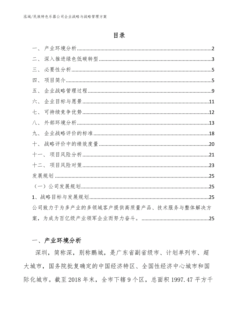 民族特色乐器公司企业战略与战略管理方案（参考）_第2页