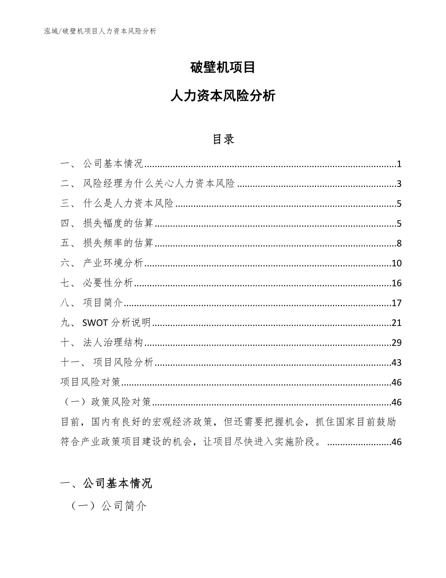 破壁机项目人力资本风险分析_第1页