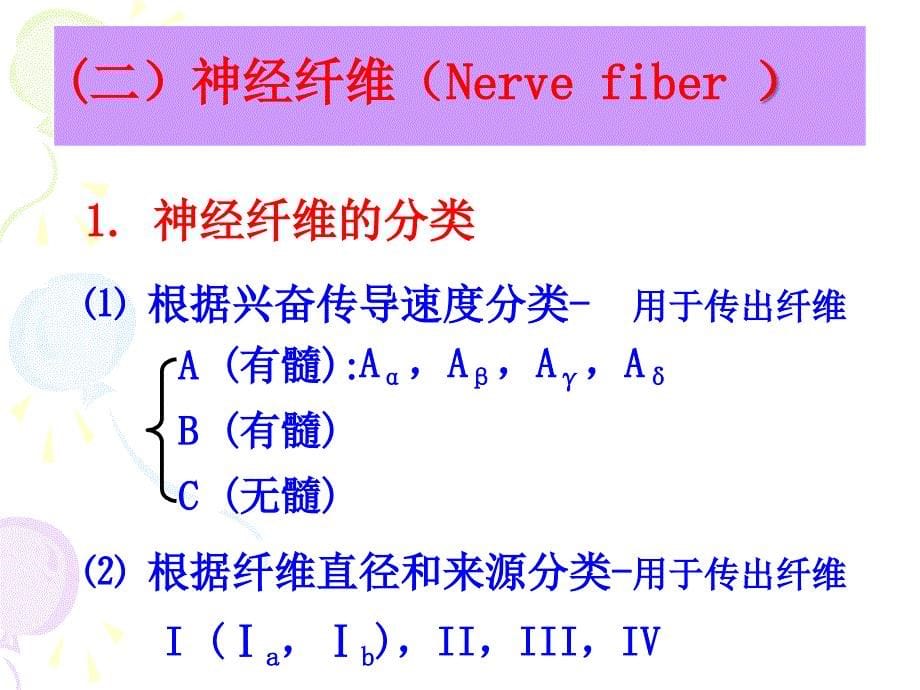 神经系统功能总论_第5页