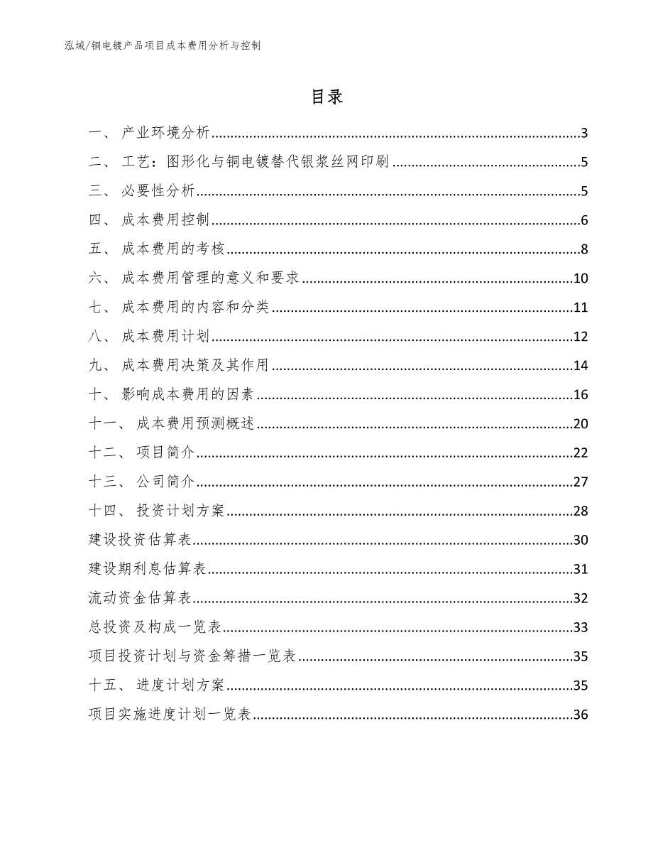 铜电镀产品项目成本费用分析与控制_第2页