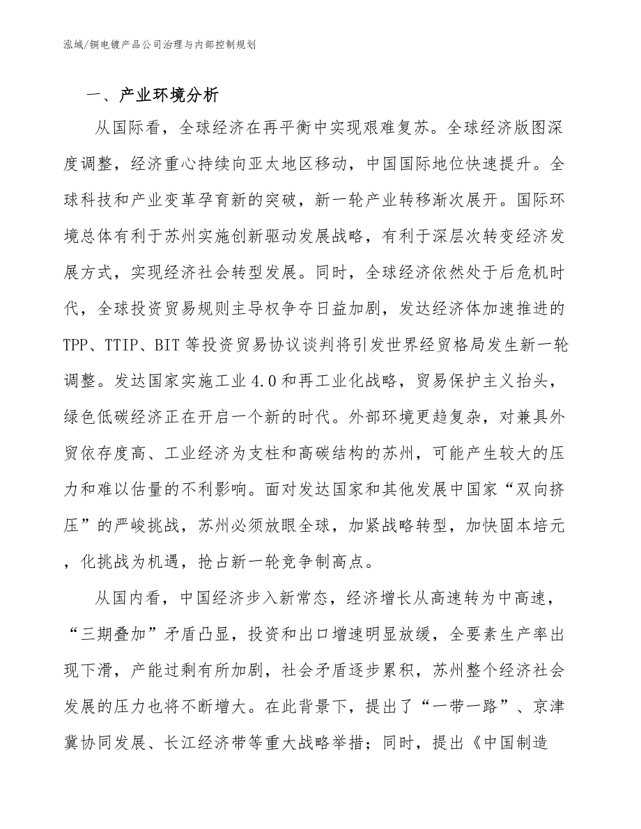 铜电镀产品公司治理与内部控制规划【参考】_第3页