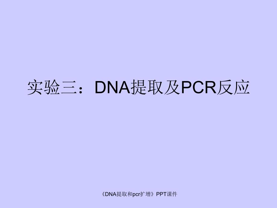 DNA提取和pcr扩增课件_第1页