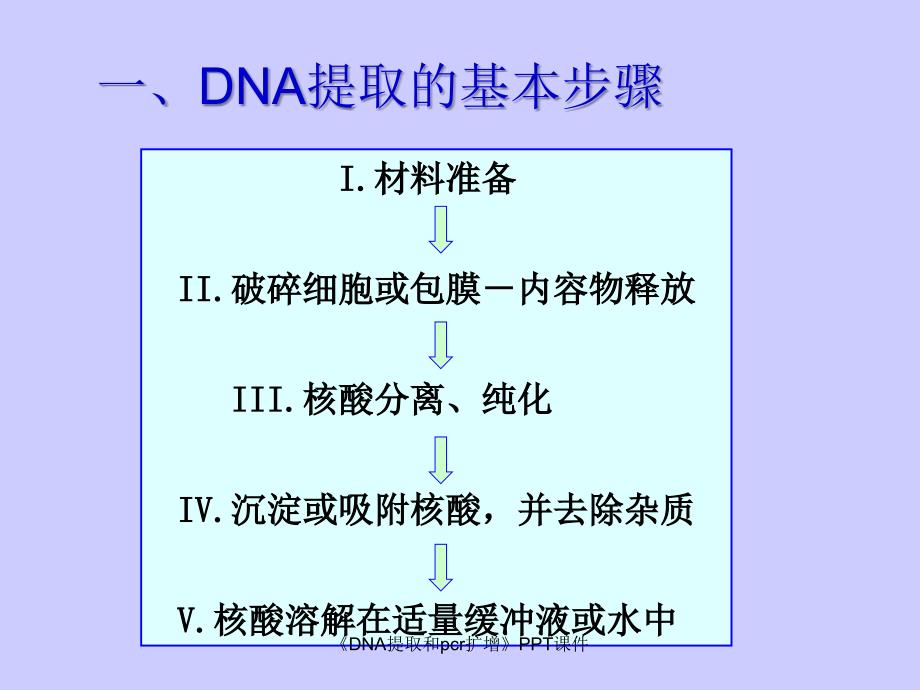 DNA提取和pcr扩增课件_第3页