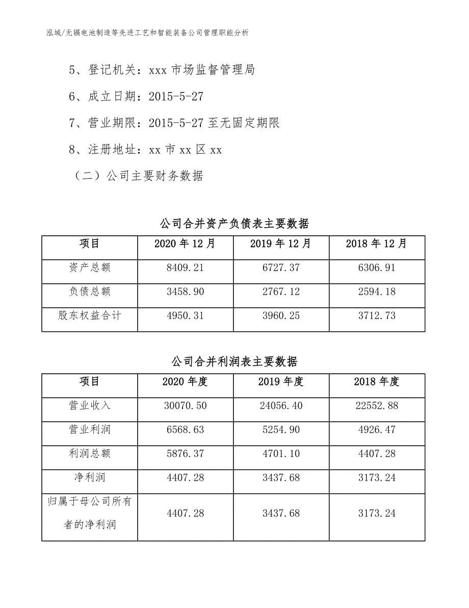 无镉电池制造等先进工艺和智能装备公司管理职能分析（范文）_第5页