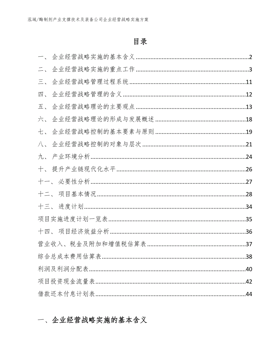 酶制剂产业支撑技术及装备公司企业经营战略实施方案【范文】_第2页