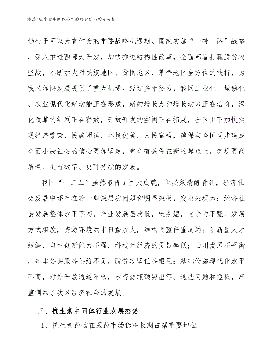 抗生素中间体公司战略评价与控制分析【范文】_第4页