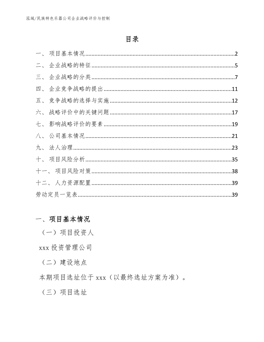 民族特色乐器公司企业战略评价与控制_第2页