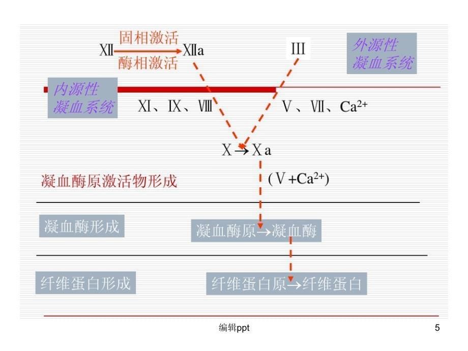 凝血结果出不来怎么办_第5页