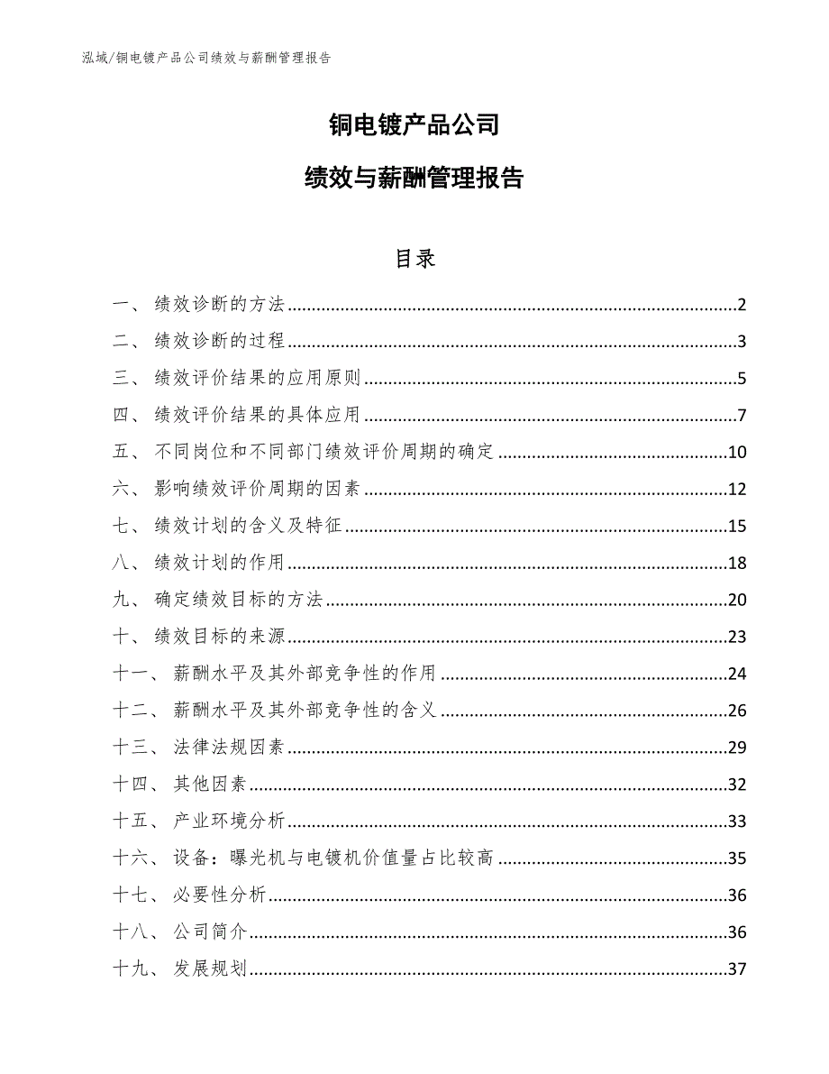 铜电镀产品公司绩效与薪酬管理报告_第1页